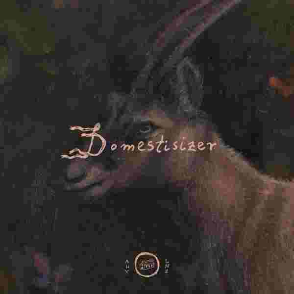 We see a female mountain goats head and in dursty rose letters the words Domestisizer written across its face. The D is stylized like flowing flags, below we see a little hosue ina. circle with the letters ALV to the left and LNZ to the right.